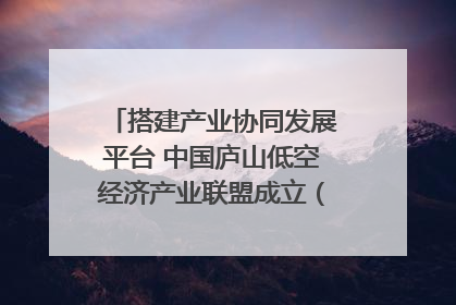 搭建产业协同发展平台 中国庐山低空经济产业联盟成立（组图｜视频）