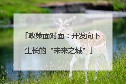 政策面对面：开发向下生长的“未来之城”
