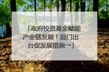 政府投资基金赋能产业链发展！厦门出台促发展措施→