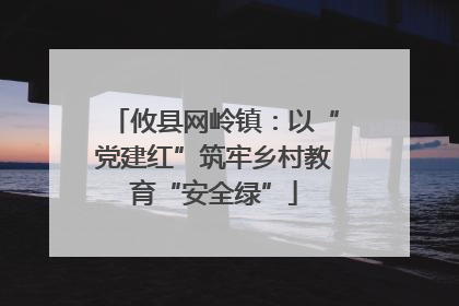 攸县网岭镇：以“党建红”筑牢乡村教育“安全绿”