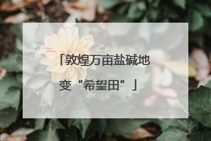敦煌万亩盐碱地变“希望田”
