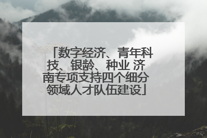 数字经济、青年科技、银龄、种业 济南专项支持四个细分领域人才队伍建设