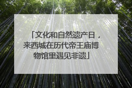 文化和自然遗产日，来西城在历代帝王庙博物馆里遇见非遗