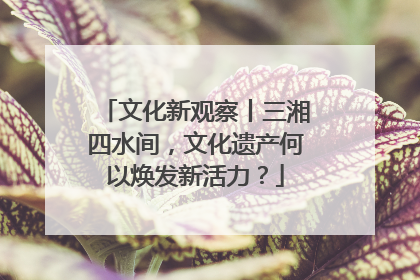 文化新观察丨三湘四水间，文化遗产何以焕发新活力？