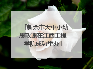 新余市大中小幼思政课在江西工程学院成功举办