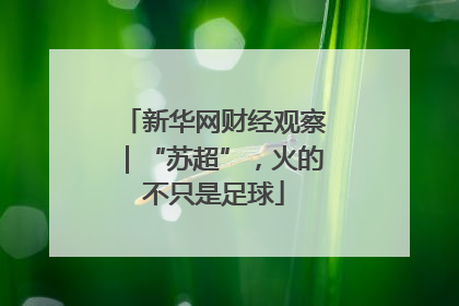 新华网财经观察｜“苏超”，火的不只是足球