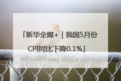 新华全媒+｜我国5月份CPI同比下降0.1%