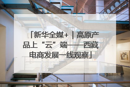 新华全媒+｜高原产品上“云”端——西藏电商发展一线观察