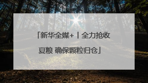 新华全媒+丨全力抢收夏粮 确保颗粒归仓