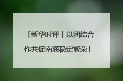 新华时评丨以团结合作共促南海稳定繁荣