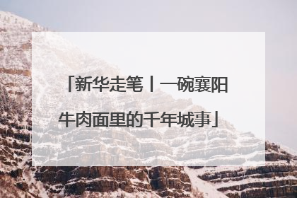 新华走笔丨一碗襄阳牛肉面里的千年城事