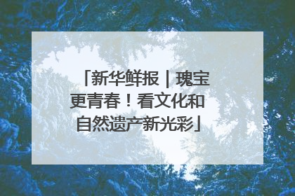 新华鲜报｜瑰宝更青春！看文化和自然遗产新光彩