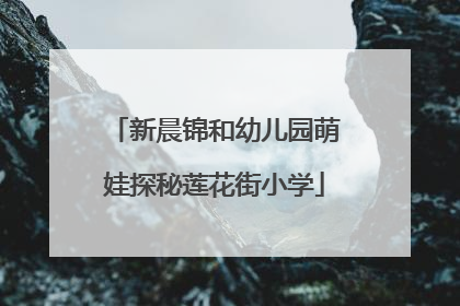 新晨锦和幼儿园萌娃探秘莲花街小学
