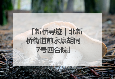 新桥寻迹｜北新桥街道前永康胡同7号四合院