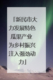 新民市大力发展特色瓜果产业 为乡村振兴注入强劲动力