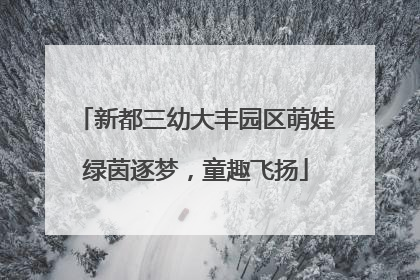 新都三幼大丰园区萌娃绿茵逐梦，童趣飞扬