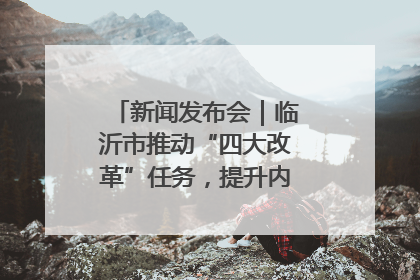 新闻发布会｜临沂市推动“四大改革”任务，提升内部审计监督效能