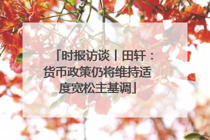 时报访谈丨田轩：货币政策仍将维持适度宽松主基调