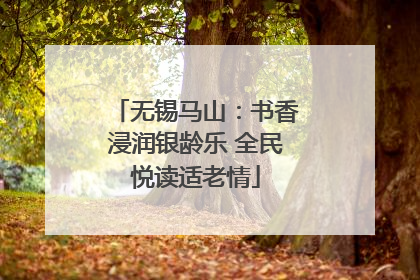 无锡马山：书香浸润银龄乐 全民悦读适老情