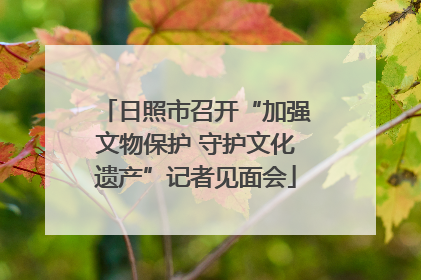 日照市召开“加强文物保护 守护文化遗产”记者见面会