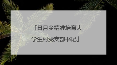 日月乡精准培育大学生村党支部书记