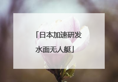 日本加速研发水面无人艇
