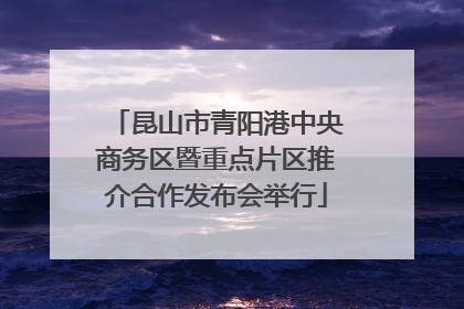 昆山市青阳港中央商务区暨重点片区推介合作发布会举行