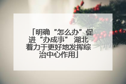 明确“怎么办”促进“办成事” 湖北着力于更好地发挥综治中心作用