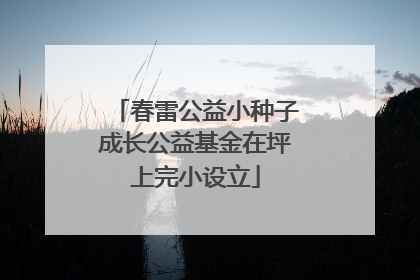 春雷公益小种子成长公益基金在坪上完小设立