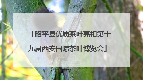昭平县优质茶叶亮相第十九届西安国际茶叶博览会