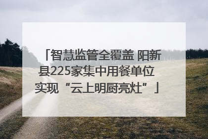 智慧监管全覆盖 阳新县225家集中用餐单位实现“云上明厨亮灶”