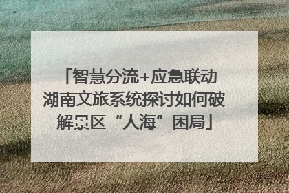智慧分流+应急联动 湖南文旅系统探讨如何破解景区“人海”困局