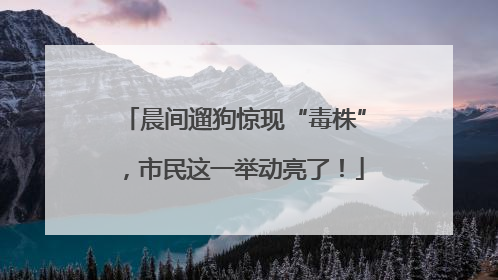 晨间遛狗惊现“毒株”，市民这一举动亮了！