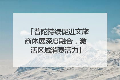 普陀持续促进文旅商体展深度融合，激活区域消费活力