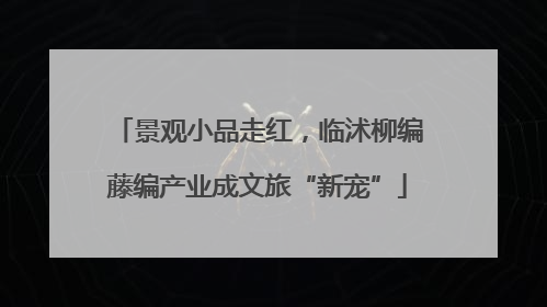 景观小品走红，临沭柳编藤编产业成文旅“新宠”