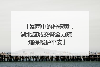暴雨中的柠檬黄，湖北应城交警全力疏堵保畅护平安