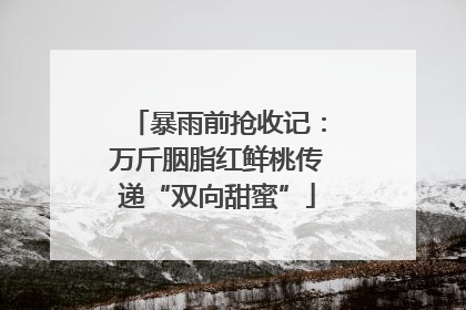 暴雨前抢收记：万斤胭脂红鲜桃传递“双向甜蜜”