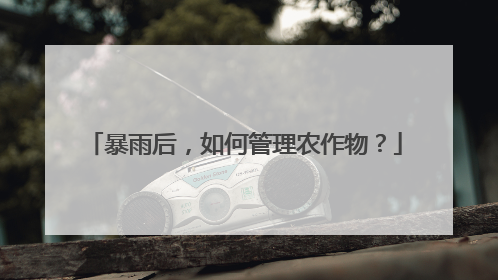 暴雨后，如何管理农作物？