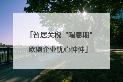 暂居关税“喘息期” 欧盟企业忧心忡忡