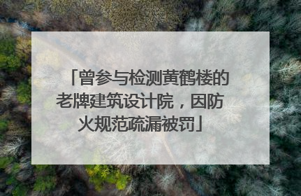 曾参与检测黄鹤楼的老牌建筑设计院，因防火规范疏漏被罚