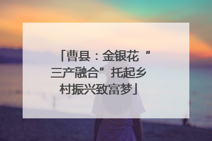 曹县：金银花“三产融合”托起乡村振兴致富梦
