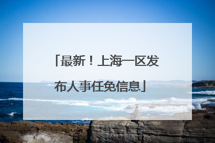 最新！上海一区发布人事任免信息