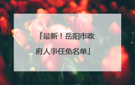 最新！岳阳市政府人事任免名单