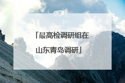 最高检调研组在山东青岛调研