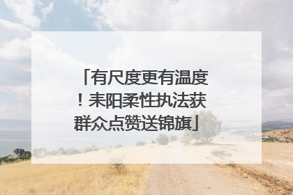有尺度更有温度！耒阳柔性执法获群众点赞送锦旗