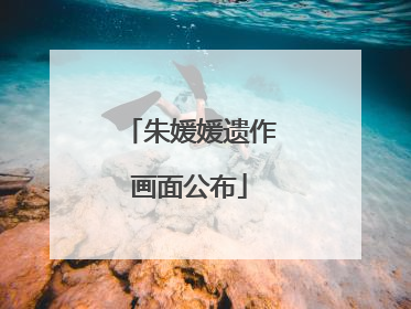 朱媛媛遗作画面公布