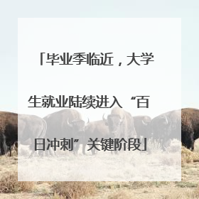 毕业季临近，大学生就业陆续进入“百日冲刺”关键阶段