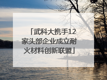 武科大携手12家头部企业成立耐火材料创新联盟