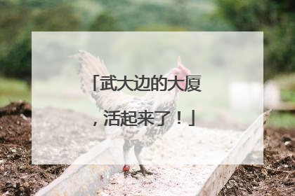 武大边的大厦，活起来了！
