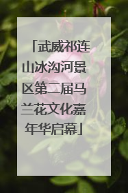武威祁连山冰沟河景区第二届马兰花文化嘉年华启幕